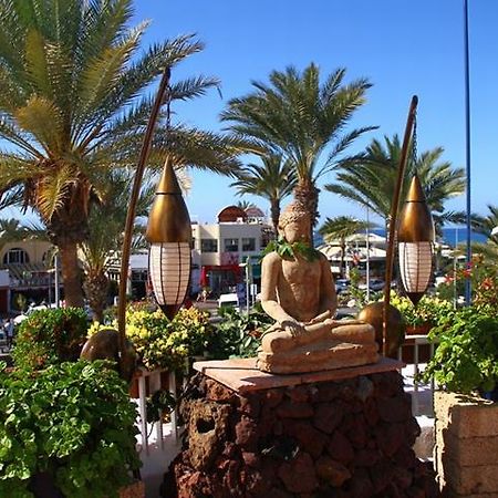 מלון פלאייה דה לאס אמריקס Playa Flor Bungalows (Adults Only) מראה חיצוני תמונה